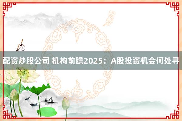 配资炒股公司 机构前瞻2025：A股投资机会何处寻
