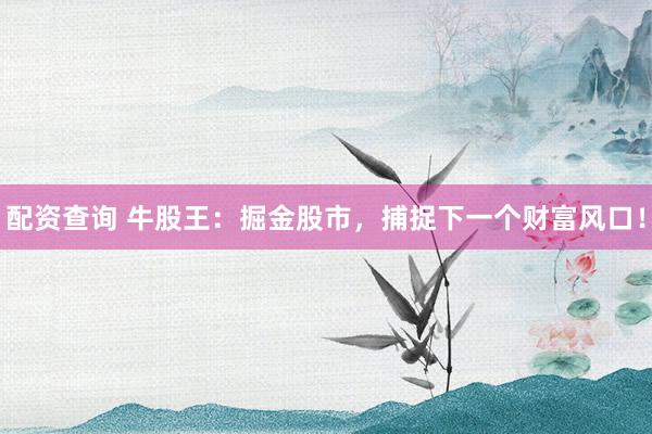 配资查询 牛股王：掘金股市，捕捉下一个财富风口！