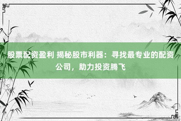 股票配资盈利 揭秘股市利器：寻找最专业的配资公司，助力投资腾飞
