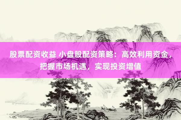股票配资收益 小盘股配资策略：高效利用资金，把握市场机遇，实现投资增值