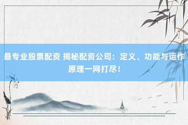 最专业股票配资 揭秘配资公司：定义、功能与运作原理一网打尽！