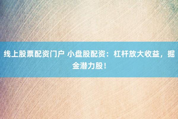 线上股票配资门户 小盘股配资：杠杆放大收益，掘金潜力股！