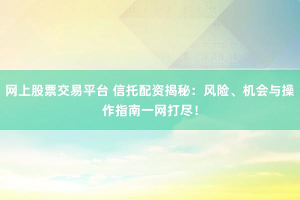 网上股票交易平台 信托配资揭秘：风险、机会与操作指南一网打尽！