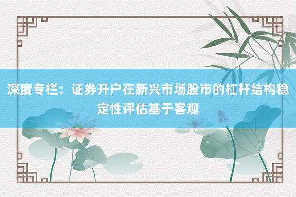 深度专栏：证券开户在新兴市场股市的杠杆结构稳定性评估基于客观